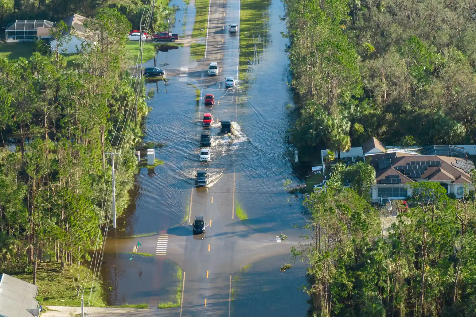 Background image 1 Background image 1